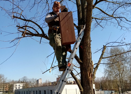 Ogród Botaniczny instaluje budki lęgowe