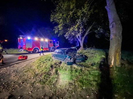 Strażakom przybywa pracy. Rekordowa liczba interwencji