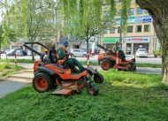 W Kielcach trwa koszenie traw