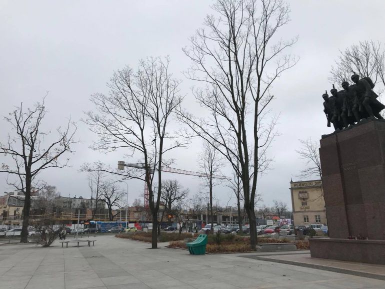 Wycinają kolejne drzewa w Kielcach