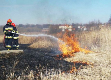 Już 78 pożarów traw. „Sezon” rozpoczął się wcześnie