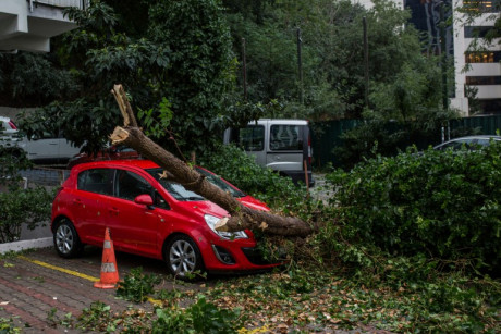 Skutki wczorajszych wichur. 27 interwencji straży pożarnej