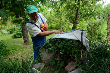 Zaczął się boom na działki. Zatrzęsienie ofert kupna