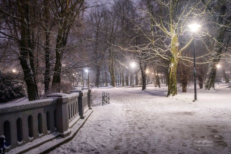 Rewitalizacja parku. "Wycinka jest bolesna, ale niezbędna"