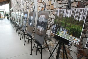 Tak zmieniły się Kielce