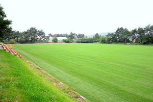 Anglia wybrała Kielce