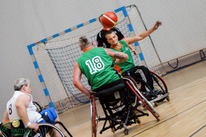 Scyzory jadą na Euroligę