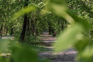 Nie będzie przetargu na dzierżawę działek na Stadionie Leśnym