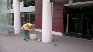 W centrum stanęły miski z wodą dla zwierząt