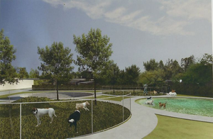 Przebudowa schroniska pod znakiem zapytania