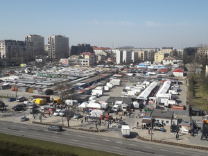 [WASZ NEWS] Nie wszyscy seniorzy pozostają w domach. Musi interweniować nawet Straż Miejska