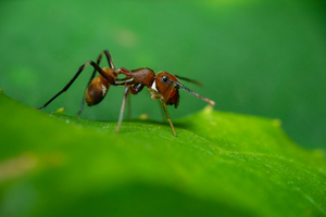 Z wizytą w mrowisku, czyli sobota w muzeum w Krzemionkach