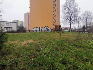 [INTERWENCJA] Sąsiedzki konflikt o drzewka. Policja: Staramy się polubownie załatwić sprawę