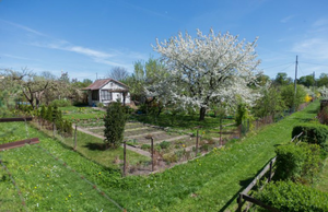 Rodzinne Ogrody Działkowe z pieniędzmi na inwestycje