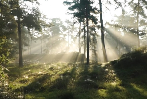 Niezwykłe opowiadanie w rocznicę śmierci Bohdana Gumowskiego
