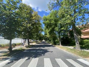 Chodziło o drzewa, wygrała polityka…