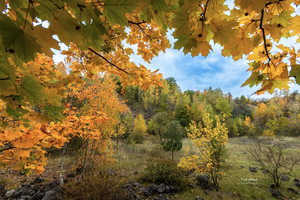 Jesień idealną porą na sesję zdjęciową. Gdzie ją zrobić?
