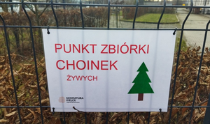Oddaj choinkę do Ogrodu Botanicznego!