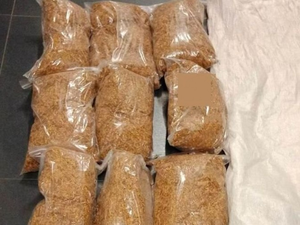 Ten tytoń nie pójdzie z dymem