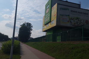 Drzewa przy Społem wcale nie znikną?