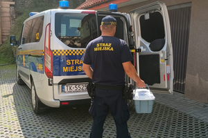 Podczas burzy i ulewy ucierpiały również ptaki. Straż Miejska niesie pomoc