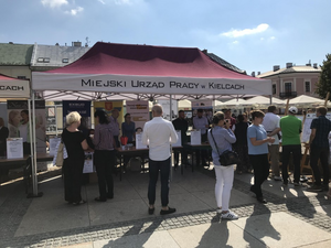 Jak kielczanie szukają pracy? Zaskakujące wyniki badania