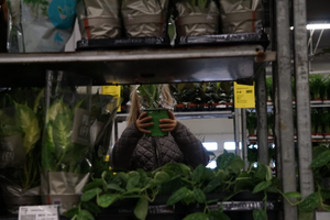 Zielona uczta dla miłośników natury – Festiwal Roślin już w ten weekend w Kielcach!