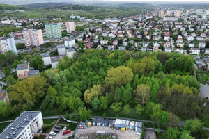 Bloki czy „mikrolas”? Co z zielonym terenem na Czarnowie?