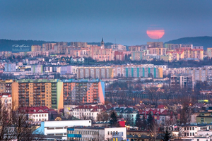 Urzędu plany na pustostany. Miasto przedstawiło swoją wizję