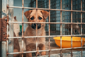 Zamiast wyrzucać, pomagaj