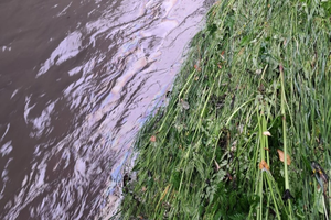 Zanieczyszczenia w Silnicy. Na miejscu służby