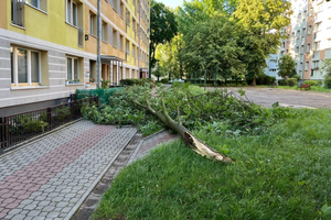 Gwałtowne burze nad regionem. Pracowita noc strażaków