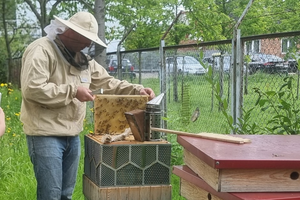 Na Politechnice miodu nie brakuje