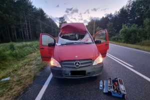 Zderzenie z sarną. Zwierzę wpadło przez przednią szybę do samochodu