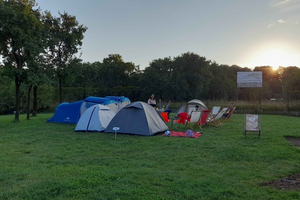 Zabiwakują w Ogrodzie Botanicznym