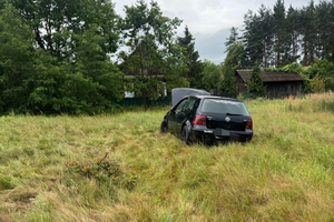 Próbował ominąć dzikie zwierzę, doszło do dachowania