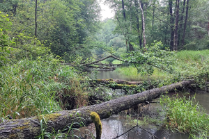 [FOTO+MAPY] Będziemy mieli nowy rezerwat