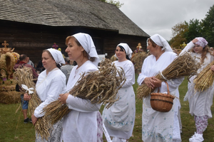 [FOTO] Rolnicy dziękowali za plony! Wojewódzkie dożynki w Tokarni