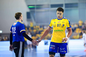 Lisy za mocne na Industrię