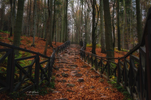 Wycieczka z Radiem eM. Trwają zapisy