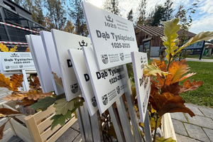 [FOTO] Tysiąc dębów na tysiąclecie koronacji Bolesława Chrobrego