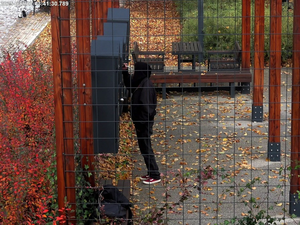 Dewastacja samochodów i malowanie graffiti w oku kamery miejskiej