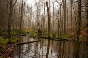 Mamy dwa nowe rezerwaty w regionie