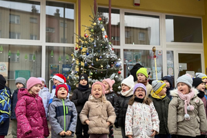 [FOTO] Choinka na Czarnowie znów cieszy oczy