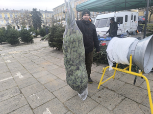 [SONDA] Tam kupisz świąteczne drzewko przez całą dobę!