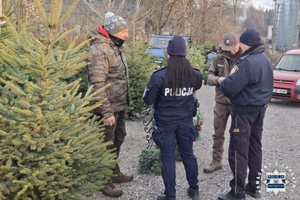 Świąteczne stroiki kupuj w zgodzie z przyrodą