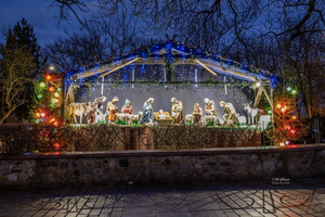 Szopka znów zachwyca!