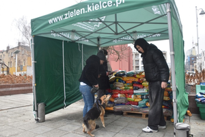 W centrum miasta rozdają karmę dla czworonogów