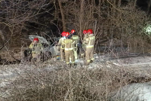 Zasnął i uderzył w drzewo. Matka z dzieckiem poszkodowani