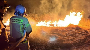 Jeden weekend – ponad 250 pożarów traw